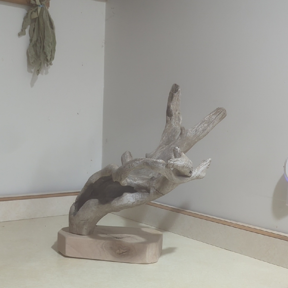 Natural Driftwood Sculpture/Jewelry Holder